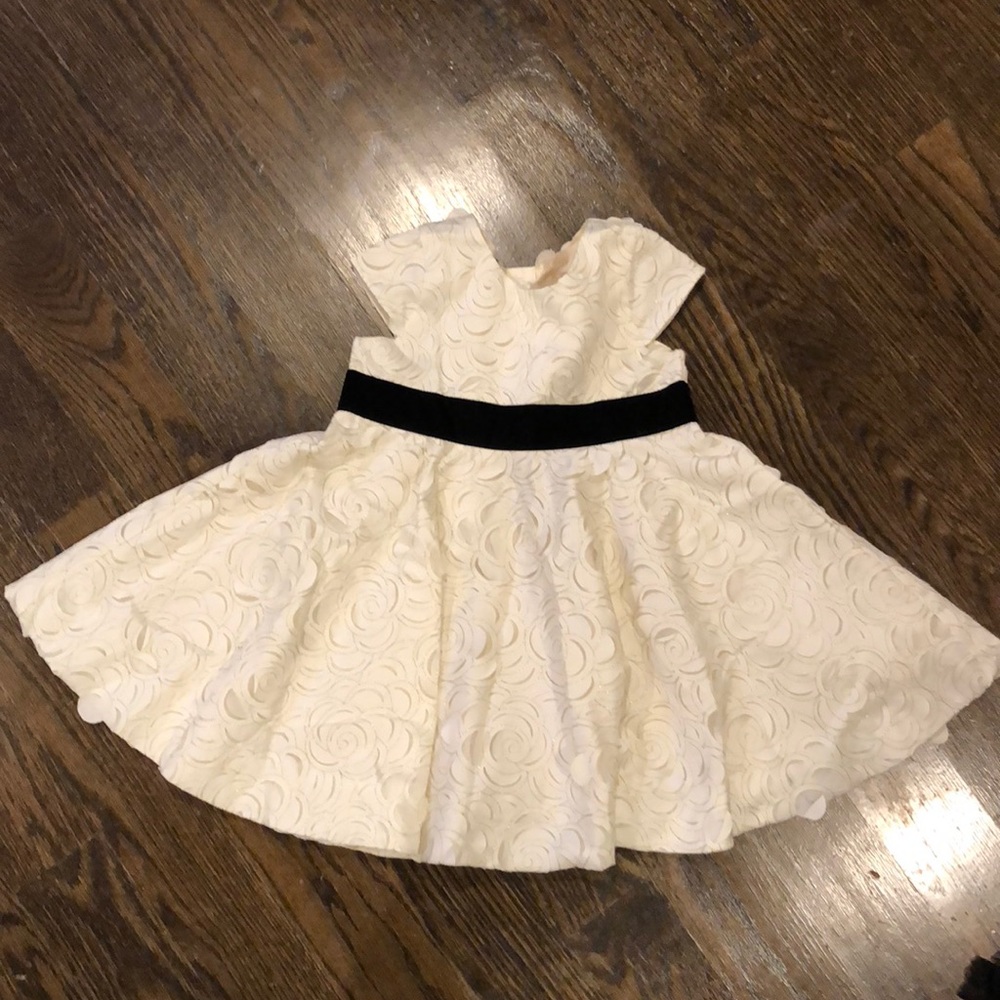 Purrfect Ivory Rosette Dress with Black Velvet